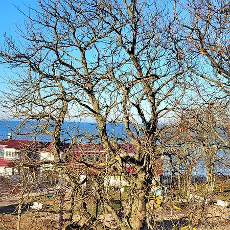 מלון Hubertusburg 4*